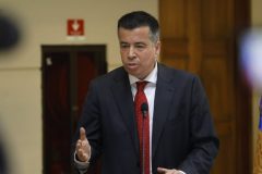 Diputado Celis rechaza posibilidad de regular las carreras de galgos y apunta a "prohibirlas definitivamente"