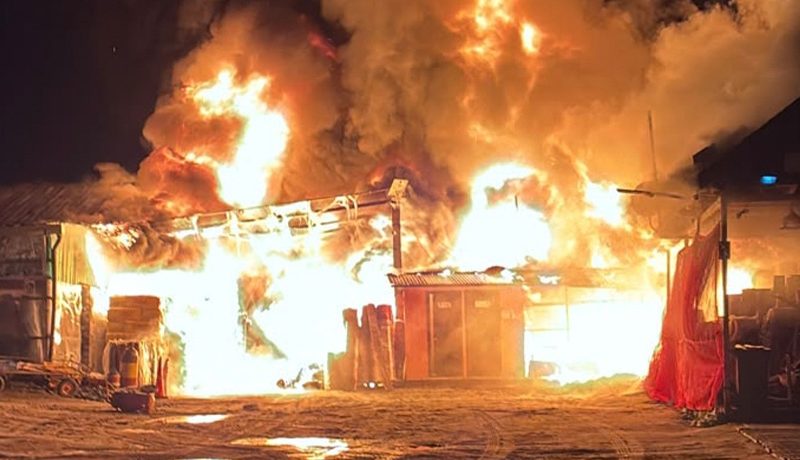 Químicos obligaron a extremar medidas tras incendio que destruyó vivero en La Cruz